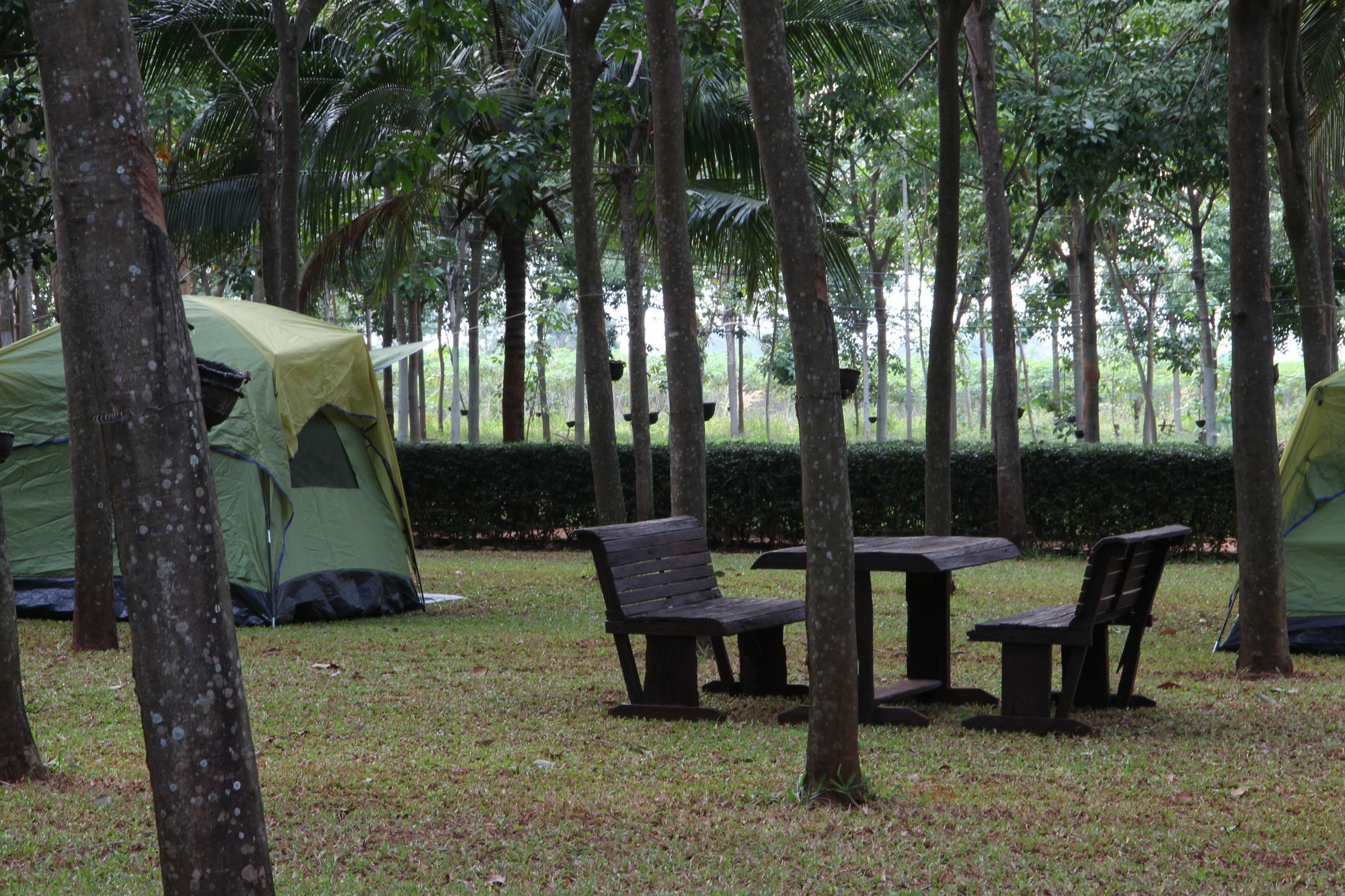 Singha Rubber Tree Hotel Ban Huai Maenam Noi Exterior foto