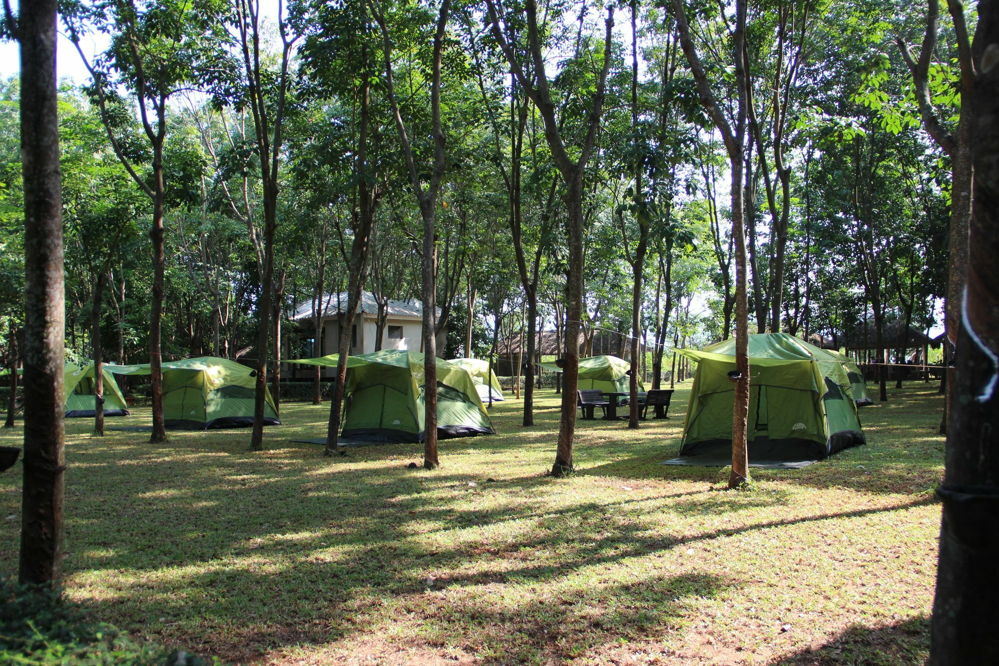 Singha Rubber Tree Hotel Ban Huai Maenam Noi Exterior foto